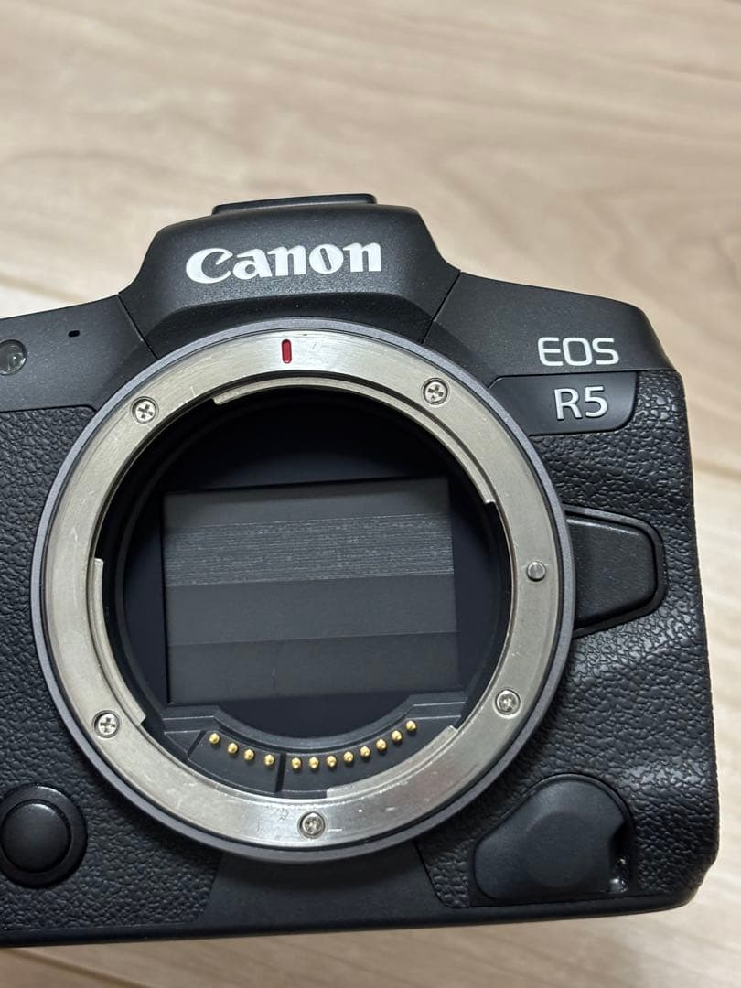 【美品】Canon R5 マウントアダプター EF-EOSR セット