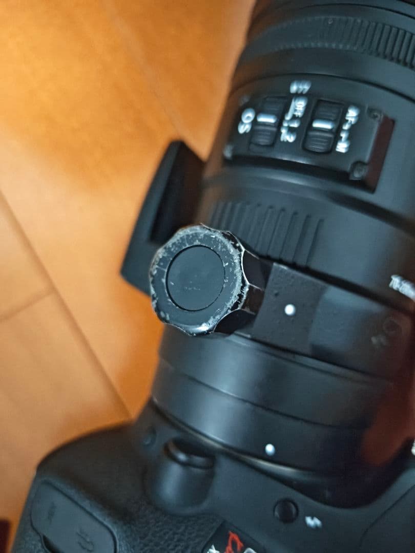 ミ*ー様 SIGMA 70-200mm 1:2.8 APO DG HSM OS