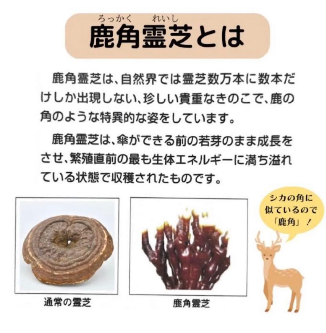 国産 鹿角霊芝使用 【福壽仙 180粒】 福寿仙 β グルカン 発酵 鹿角霊芝末