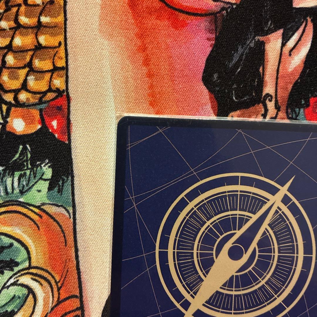 ロビン　パラレル　sr