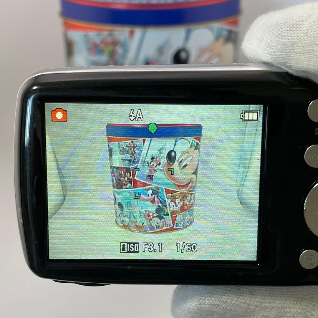 実写⭕️【動作確認済み】Panasonic LUMIX S DMC-S1