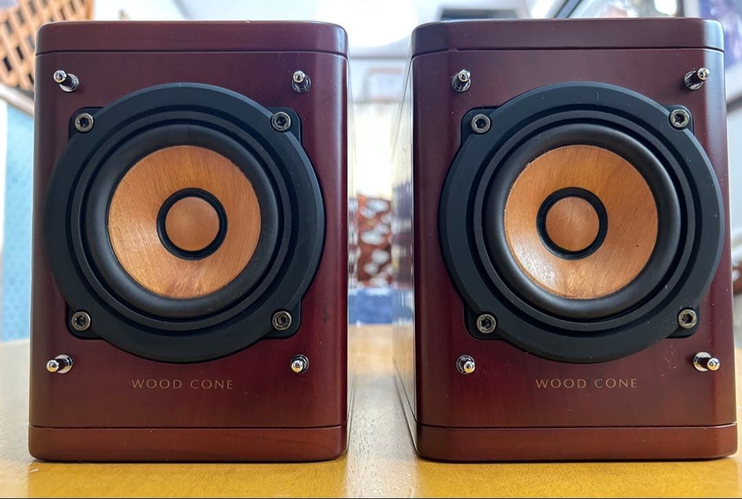 【比較的美品】VICTOR SP-EXA1 ウッドコーン フルレンジスピーカー