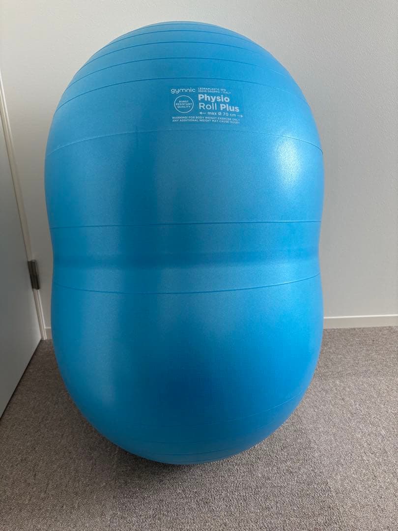 青 Physio Roll Plus バランスボール