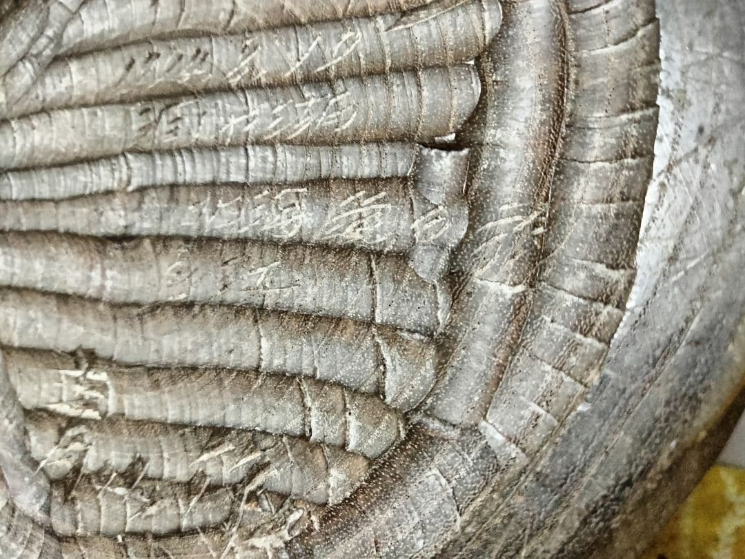 青山作　木彫　フクロウの置物 北海道洞爺湖　民藝