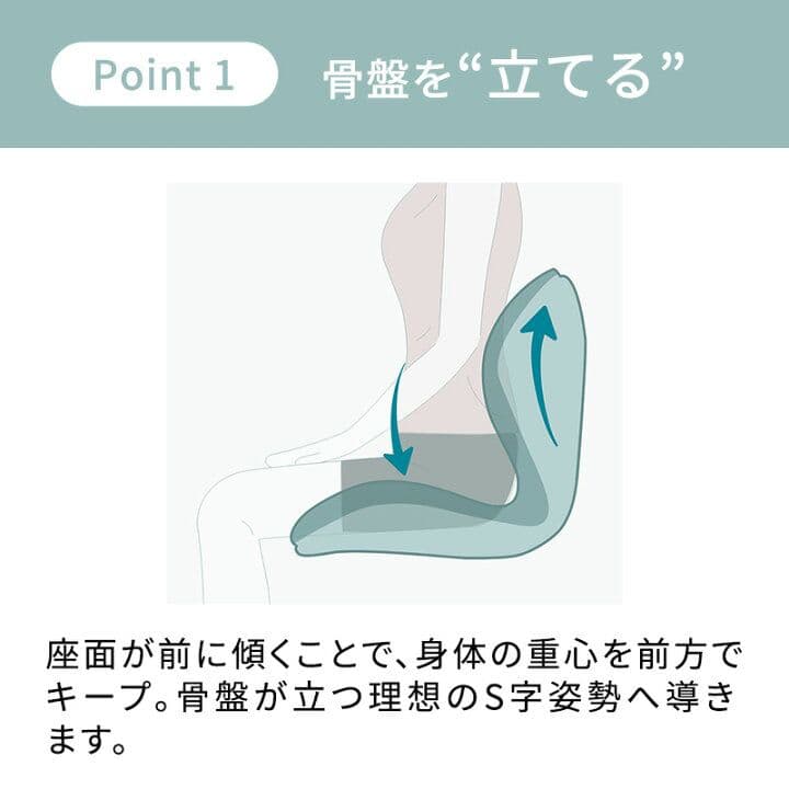 Style PREMIUM 姿勢矯正シート 黒色 YS-AL03A 説明書付