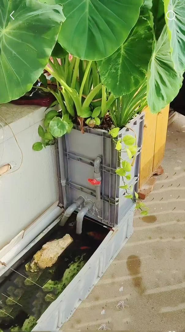 お任せ濾過材2段付き 池水槽用万能フィルター 最強濾過槽　外部式飼育濾過器装置