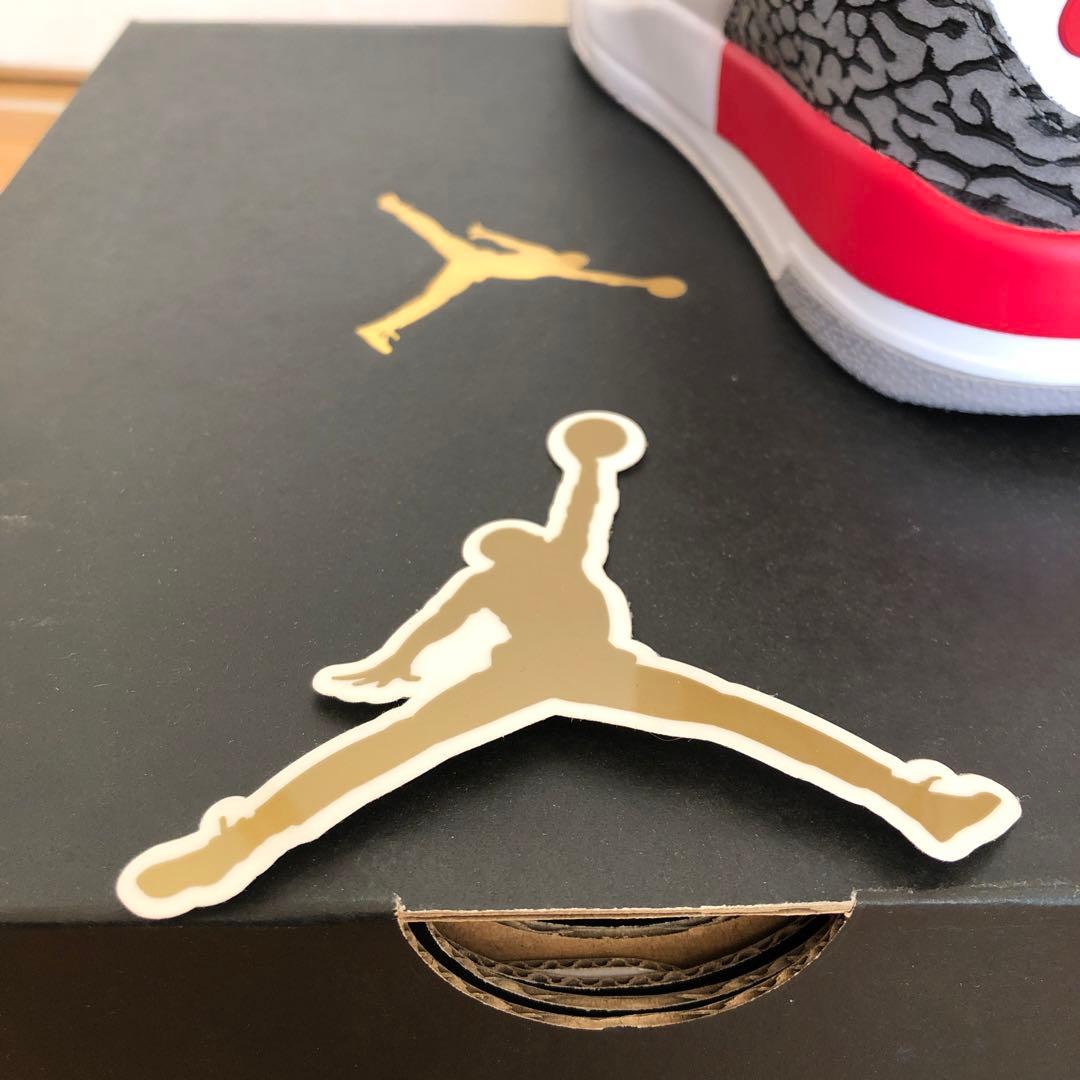 た出品　新品未使用NIKE AIR JORDAN3OG 21センチPS2Y