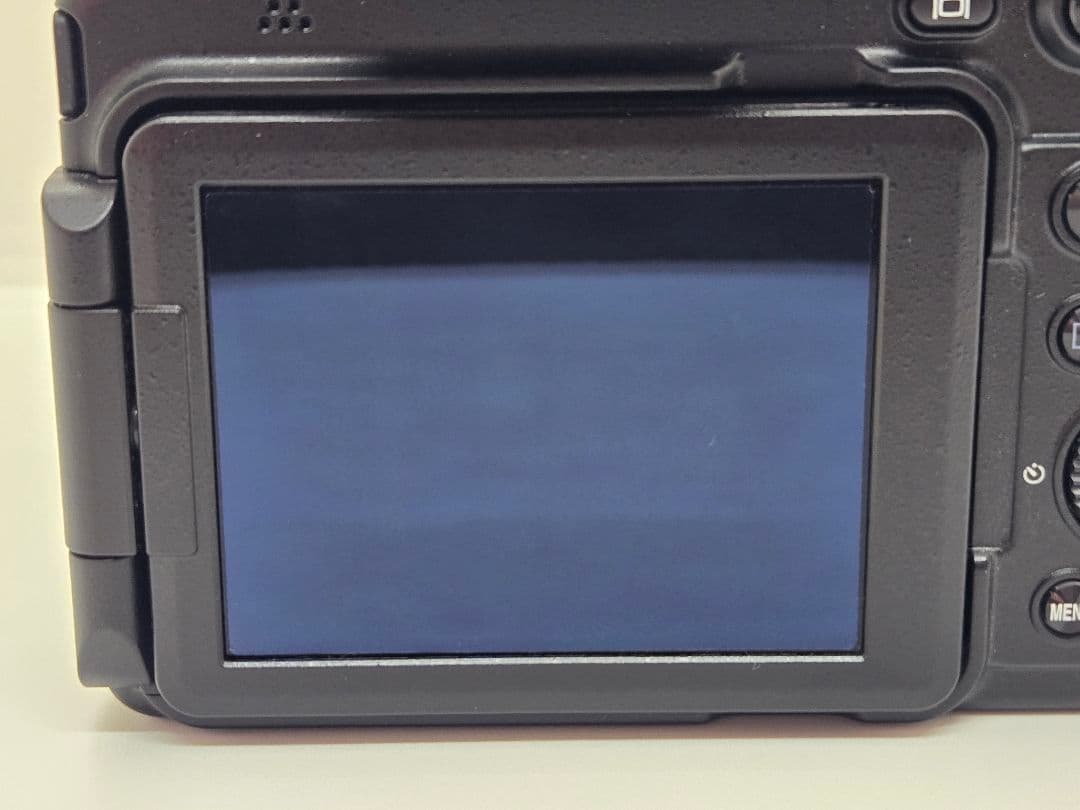 Nikon ニコン クールピクス COOLPIX P1000 野鳥撮影