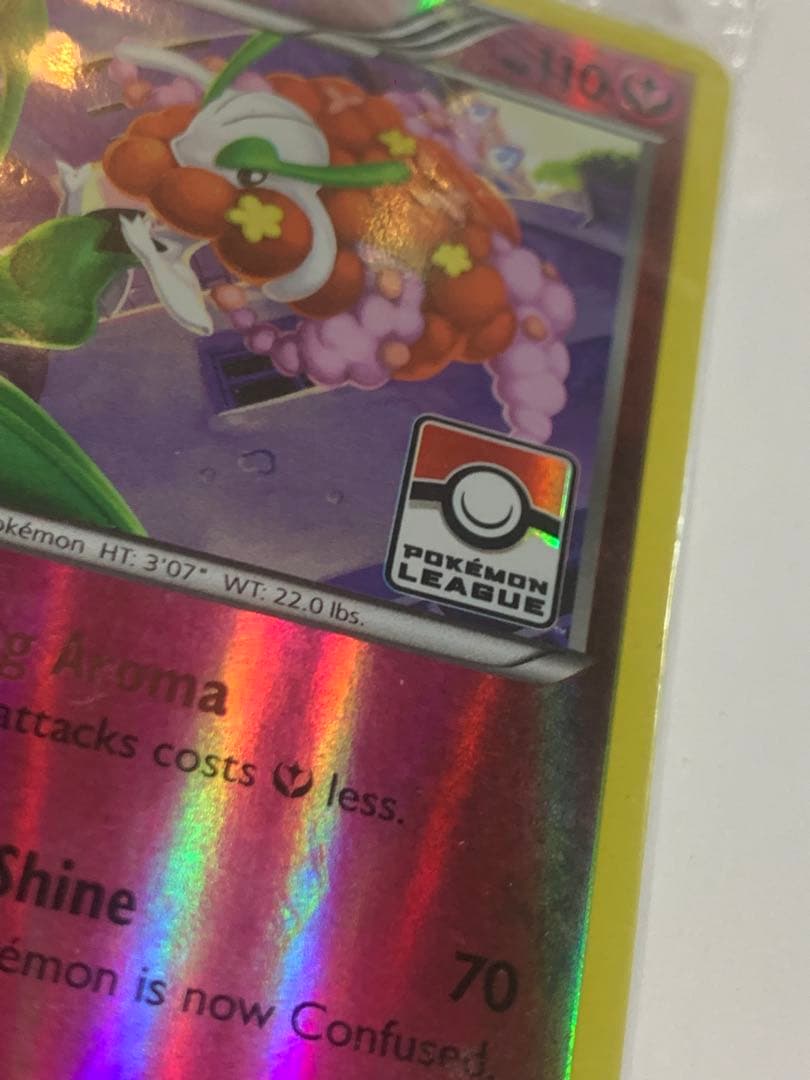 レア　海外限定　非売品　プロモーションカード フラージェス ポケモン 20枚