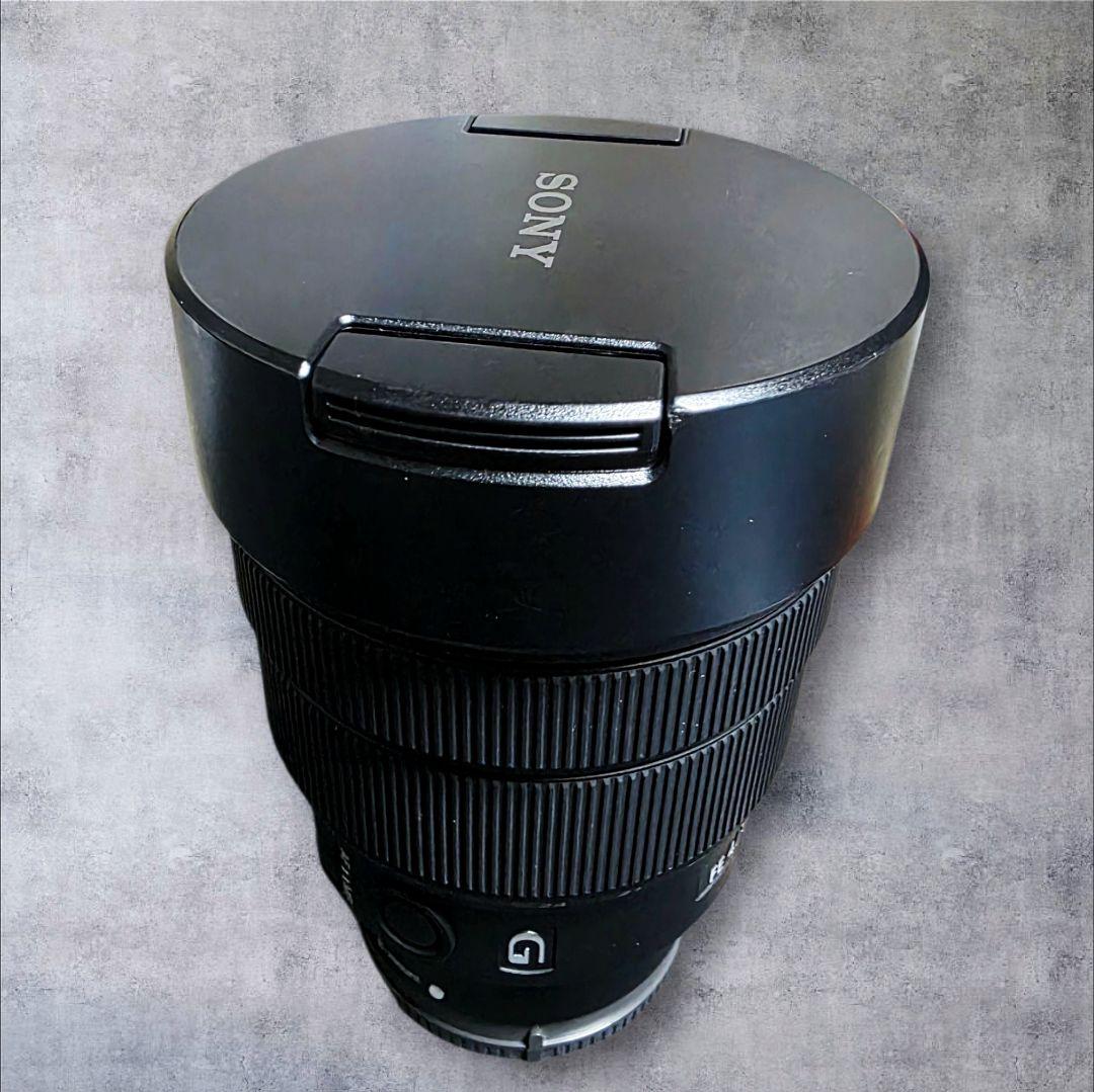 SONY FE 12-24mm F4 G SEL1224 超広角レンズ