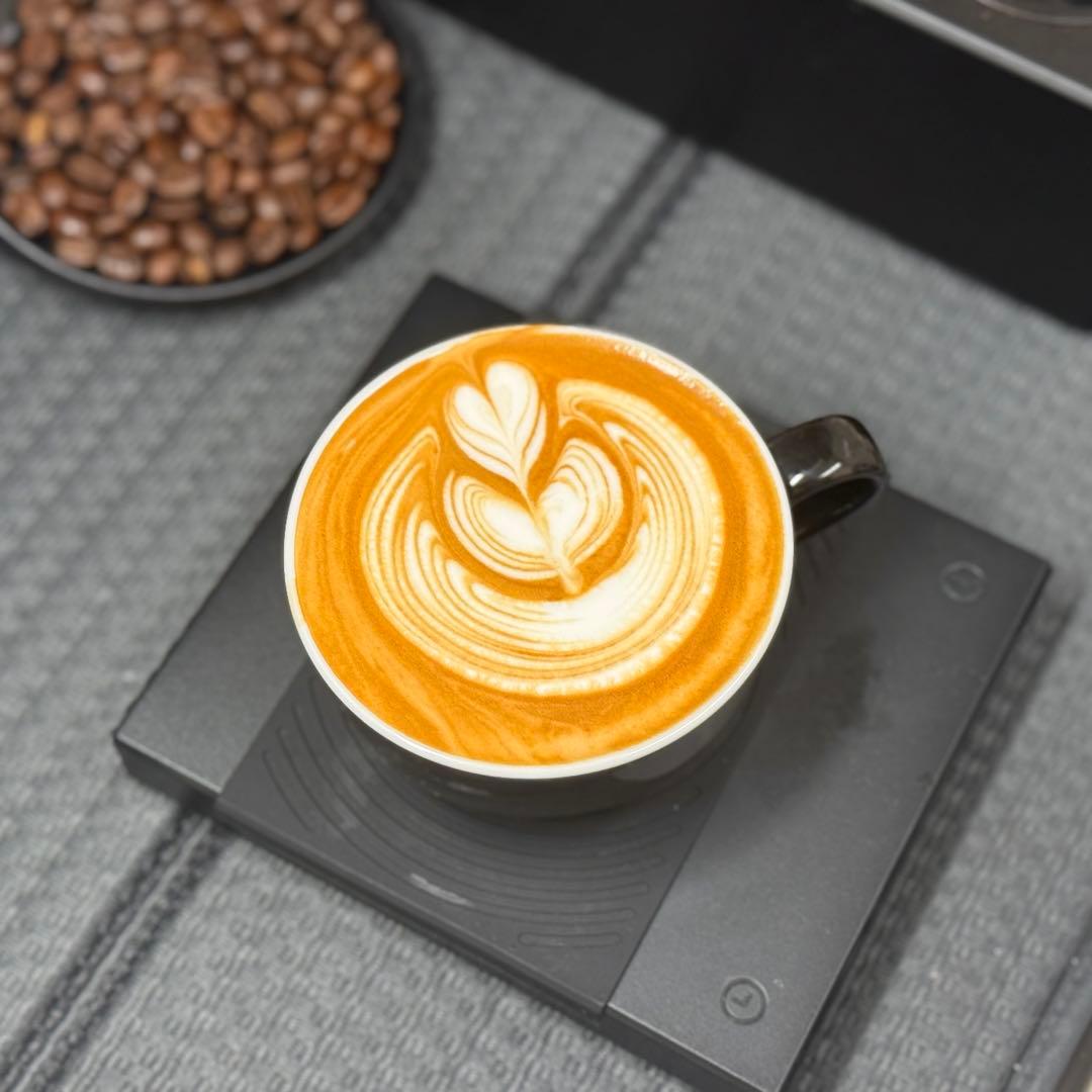 （おまけ付き）ソリス バリスタ パーフェクタプラス SK1170S