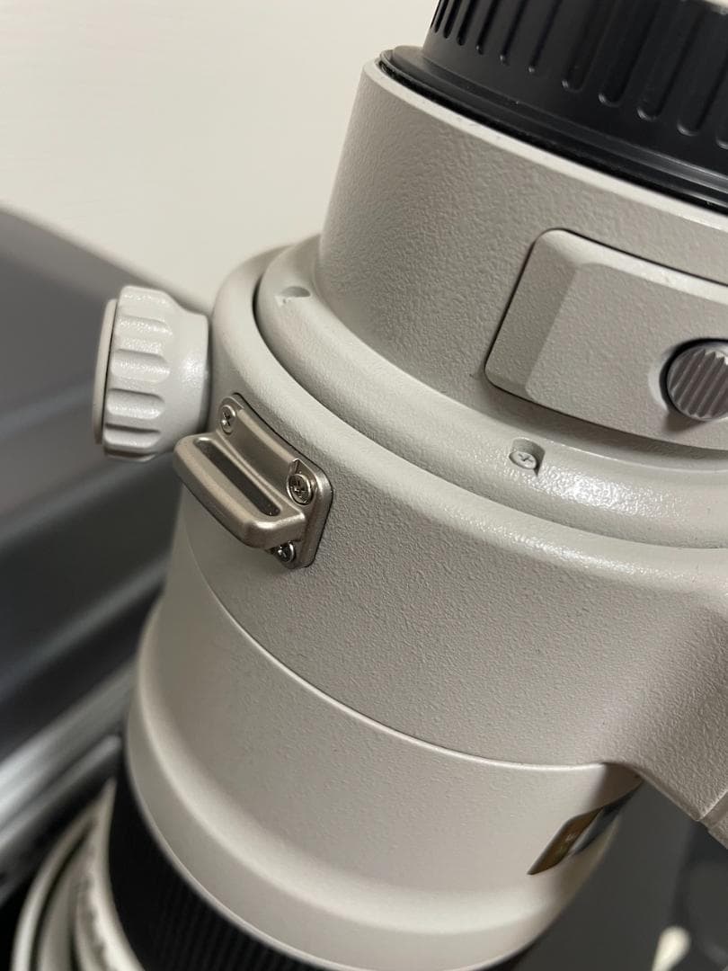 Canon 単焦点望遠レンズ EF300mm F2.8L IS II USM