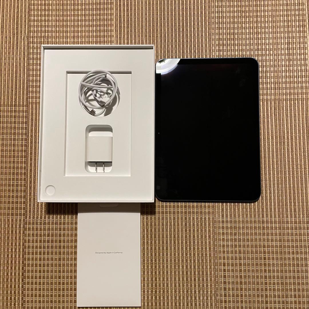 【黒猫！】iPad 本体 ブルー アップルケア付帯