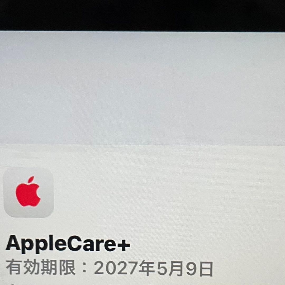 【黒猫！】iPad 本体 ブルー アップルケア付帯