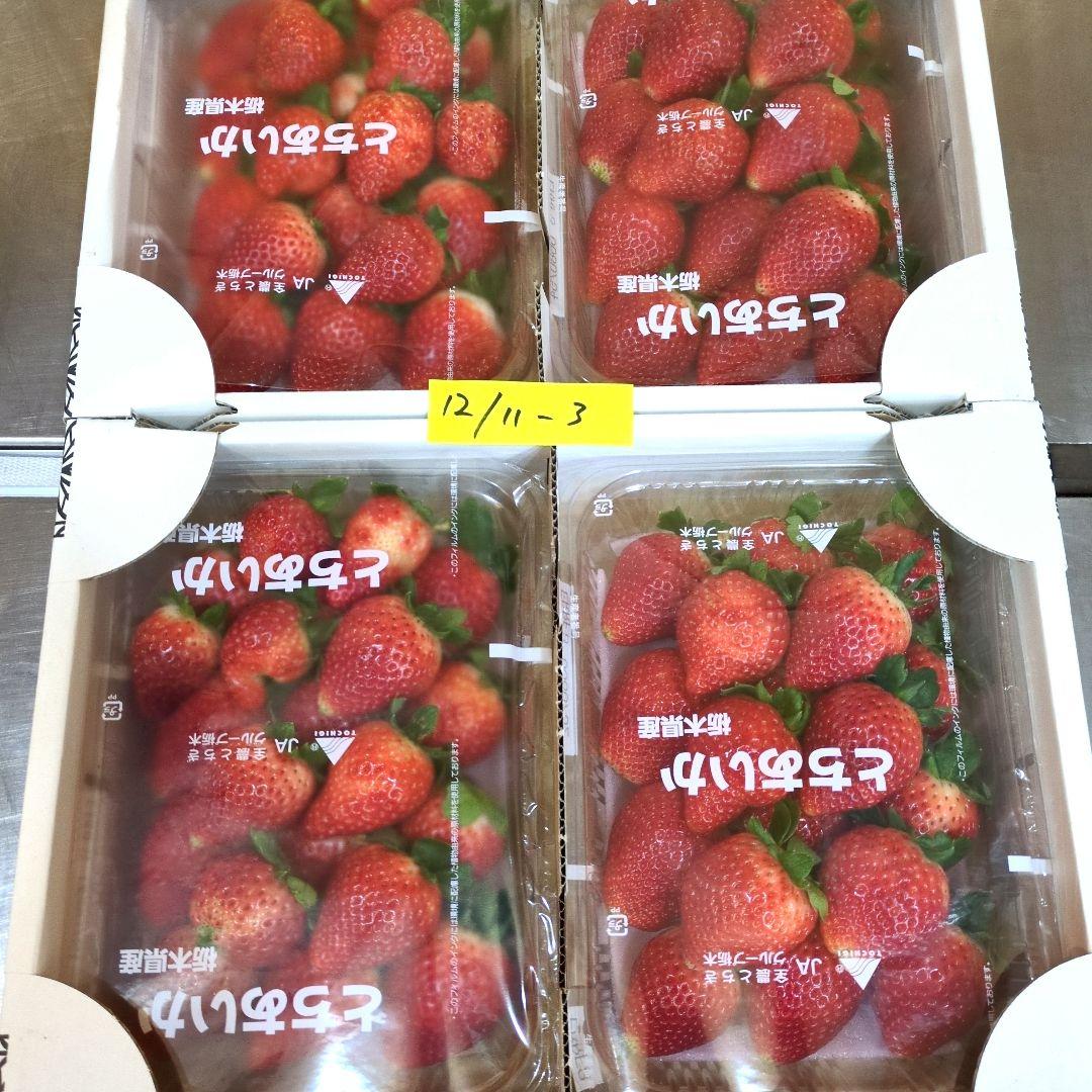 けん様 栃木県産いちご　とちあいか　規格外1.4kgx8箱