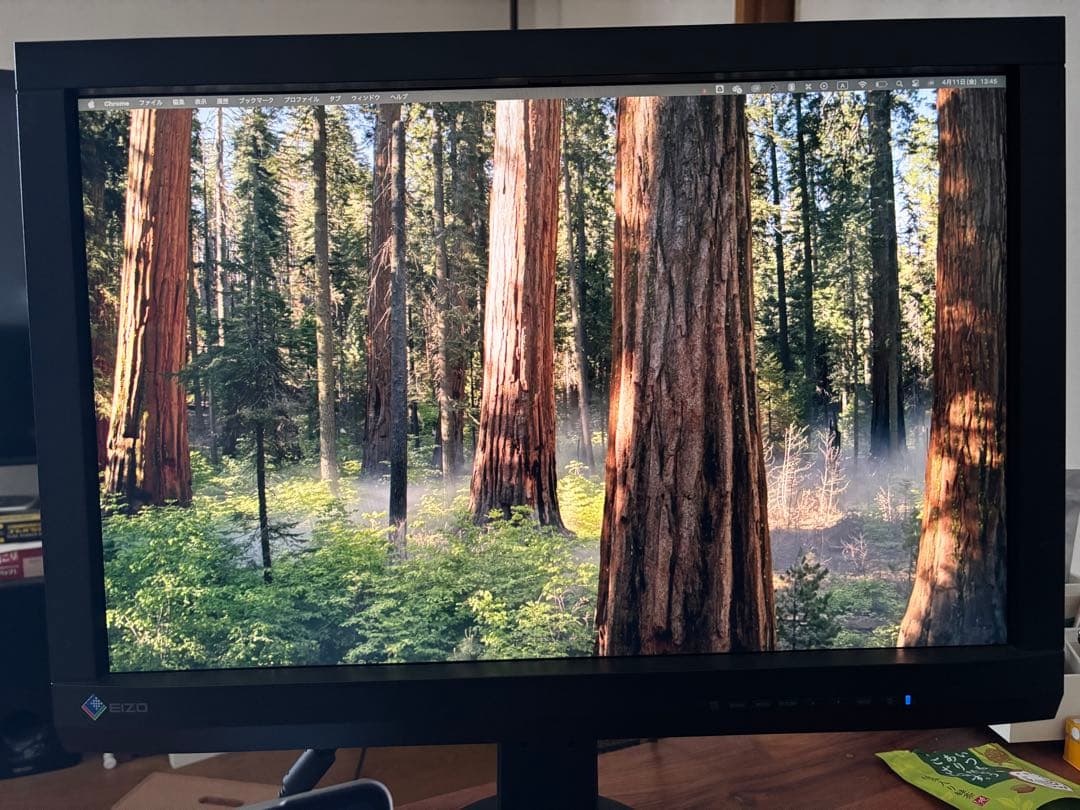 EIZO ColorEdge CX240 24インチモニター本体