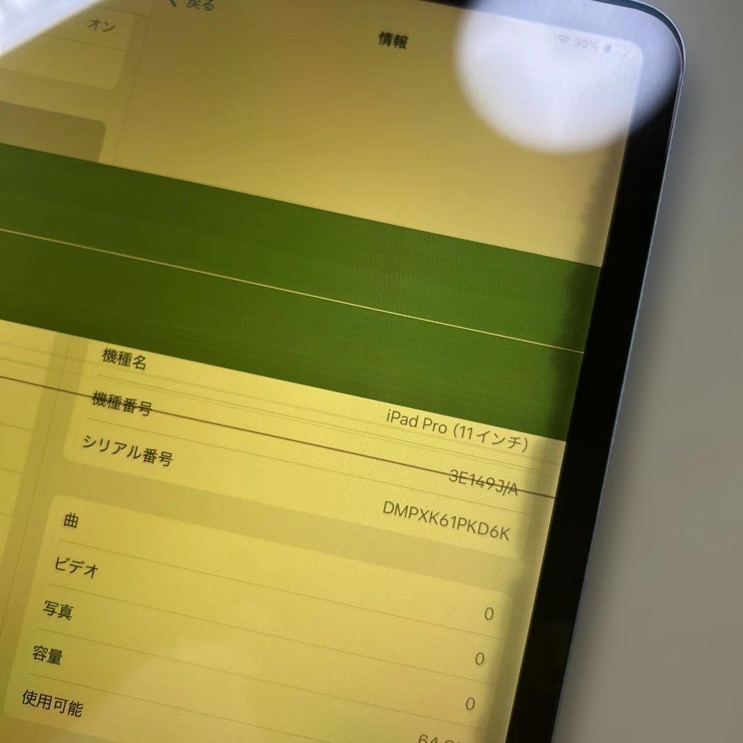 iPad Pro 11インチ　第1世代　64GB Wi-Fi 液晶不良あり