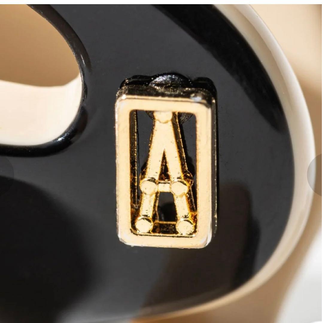 ALEXANDRE DE PARIS ヘアクリップ　ブラック