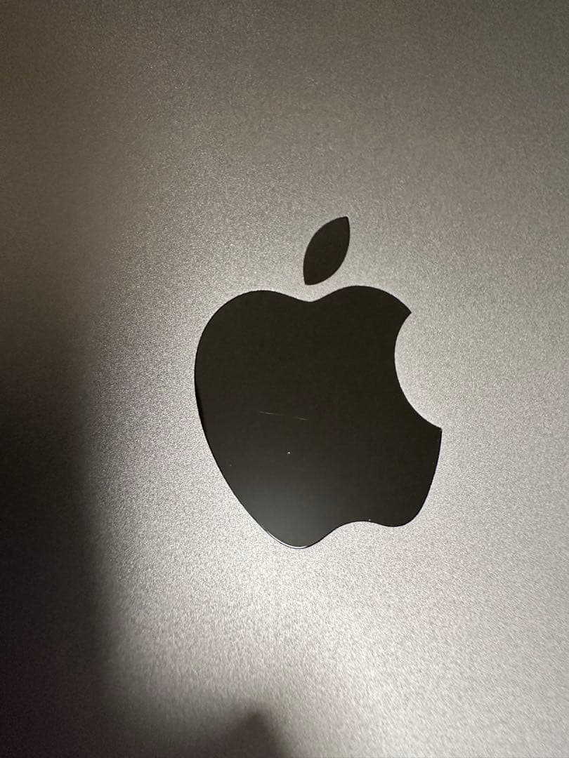 Apple iPad mini 4 【128GB】 本体のみ/箱あり