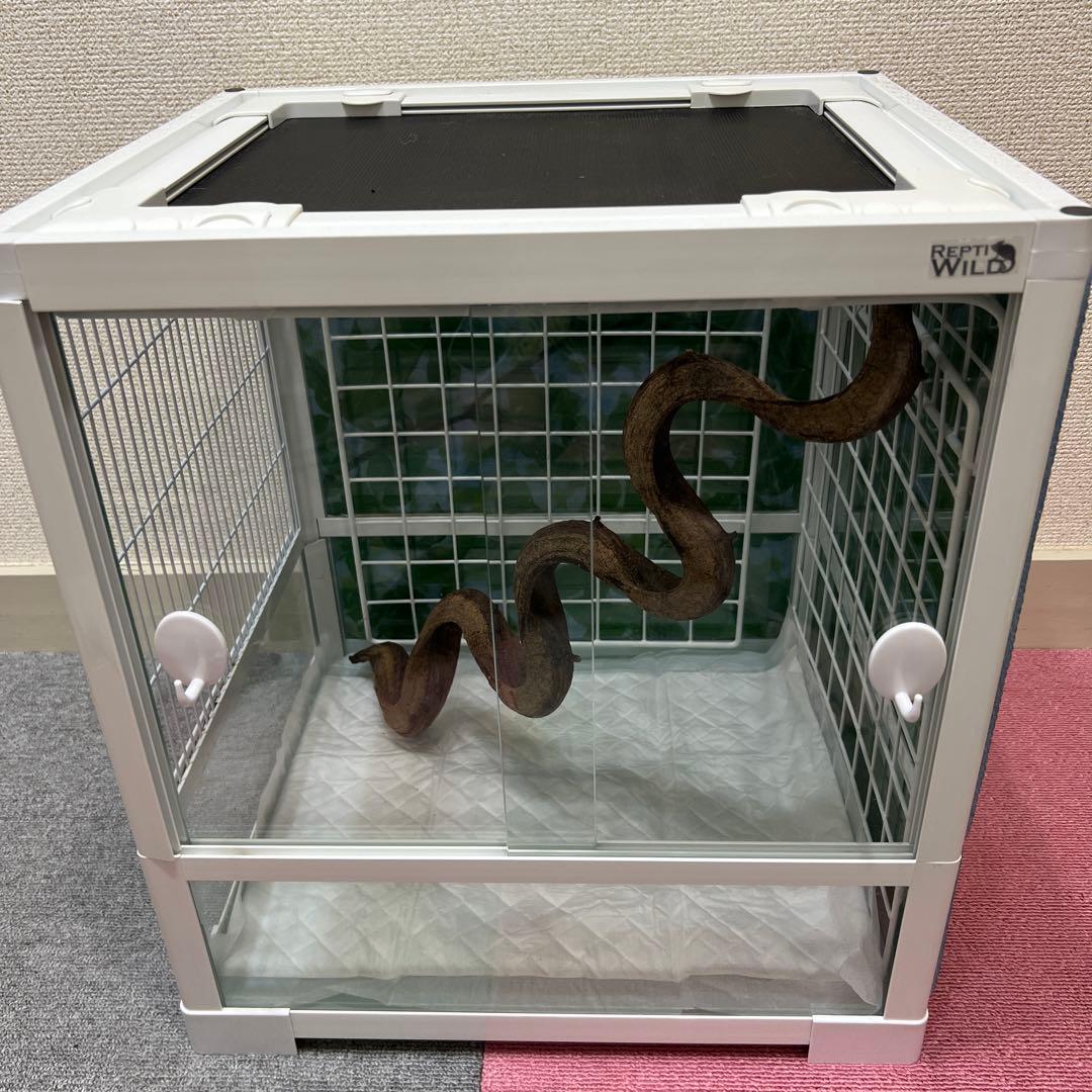 ♡sniper様♡専用♡