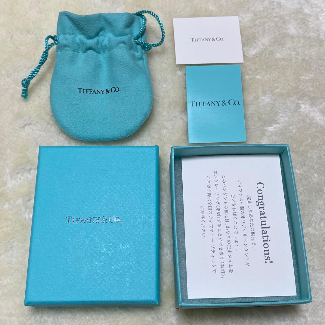 付属品完備❗️✨ティファニー　ペンダントネックレス　シルバーGOWOMEN2021