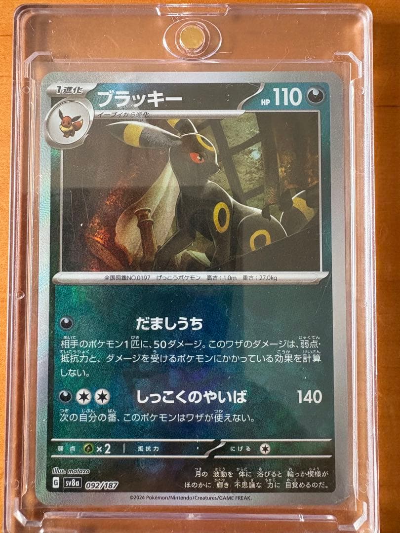 ブラッキー　マスターボール柄　マグネットローダー付き