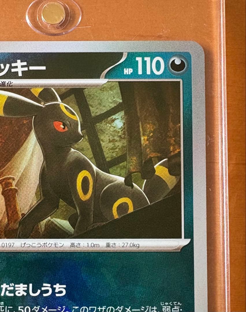 ブラッキー　マスターボール柄　マグネットローダー付き