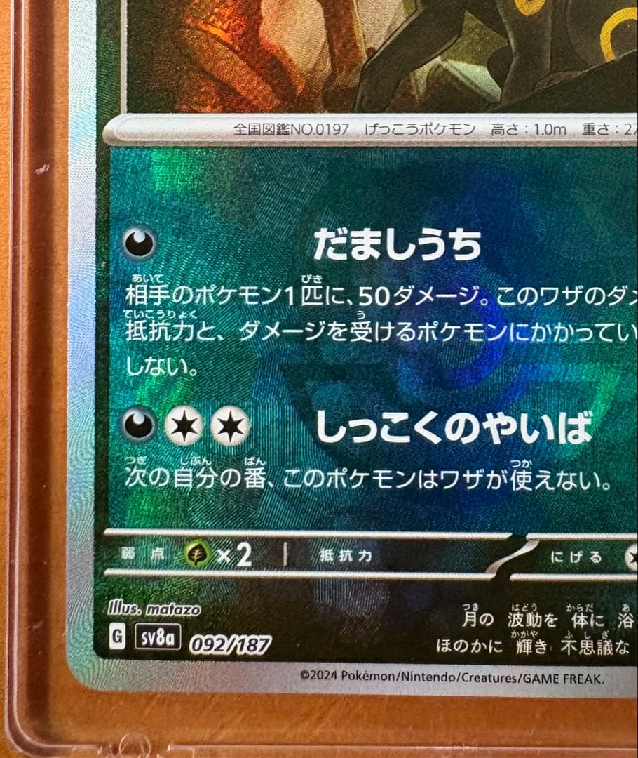 ブラッキー　マスターボール柄　マグネットローダー付き