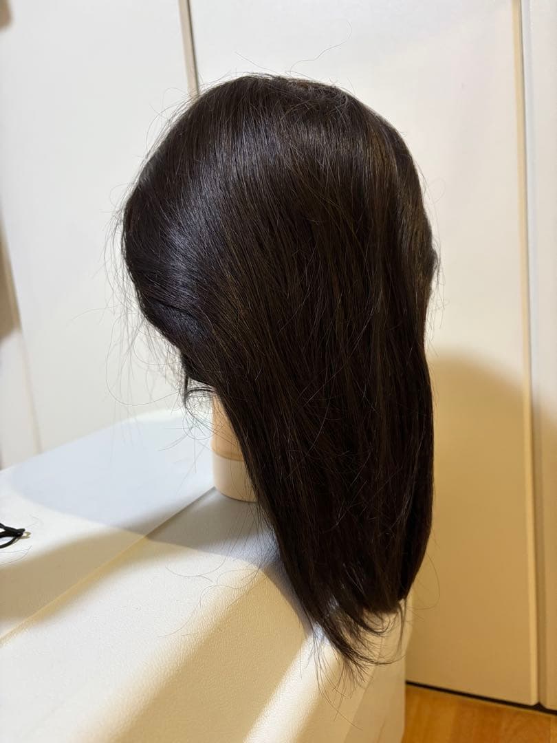 REGINA カットウィッグ2体セット　人毛100% 美容師カット練習用