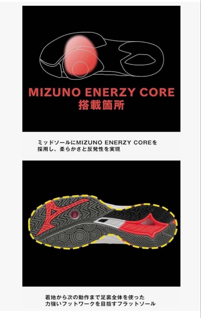 新品 ミズノ 26cm ウェーブファング2 バドミントンシューズ