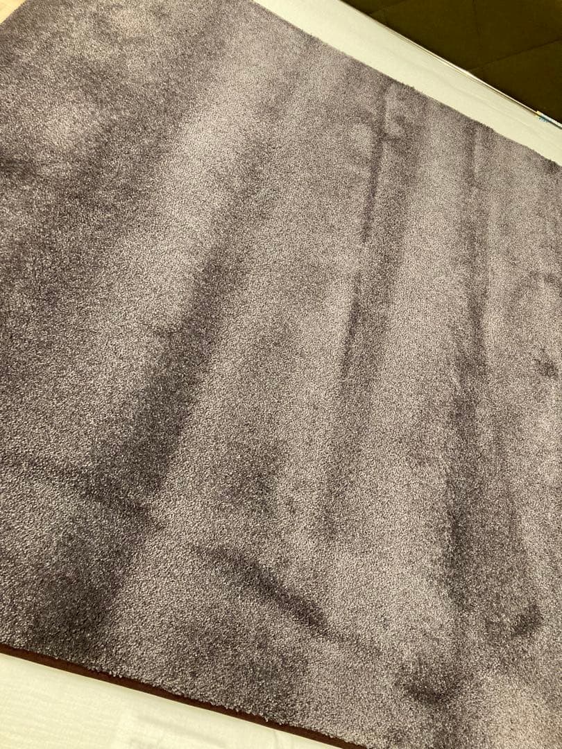 ラグ・カーペット JAB ANSTOETZ DREAM 3530/382 150x200cm