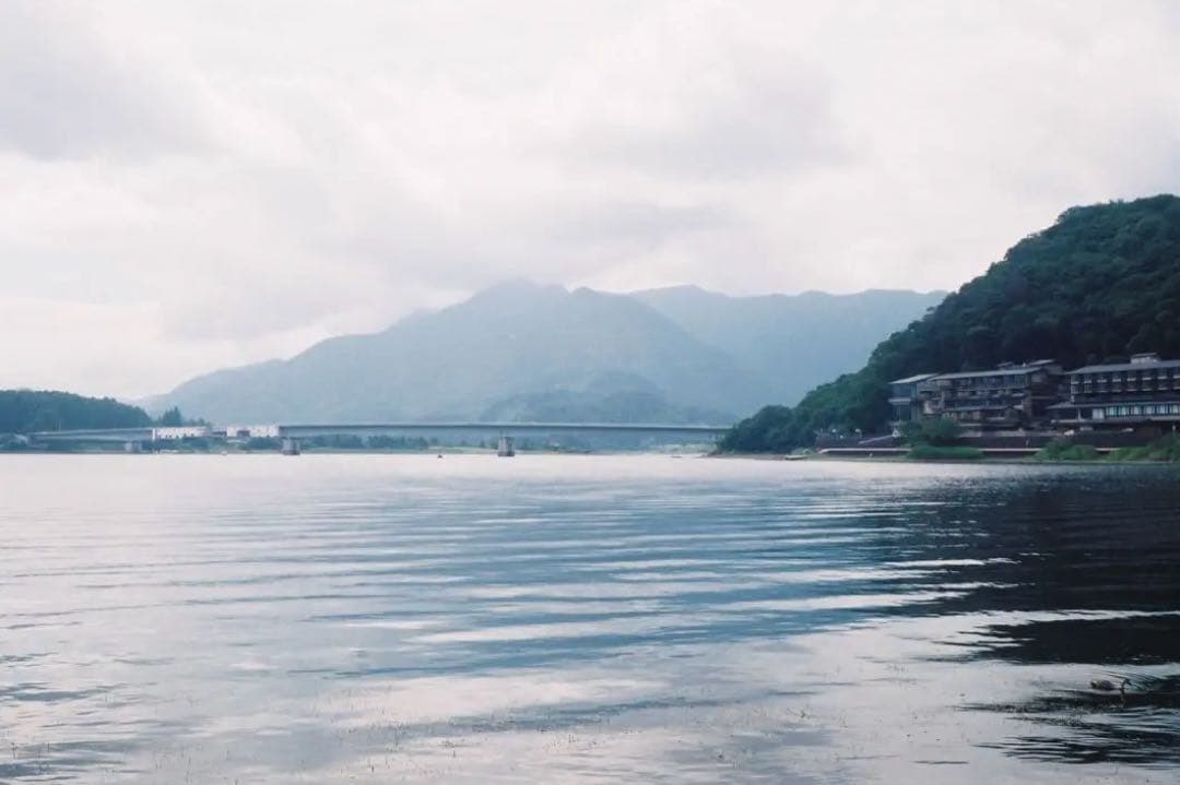 ZEISS IKON CONTESSA 35 伯爵夫人【作例あり】