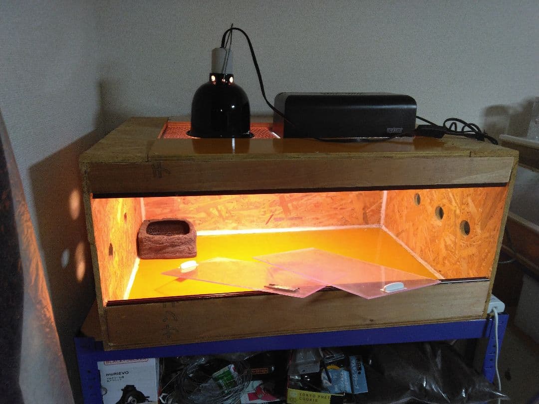 自作爬虫類ケージお得なセット！