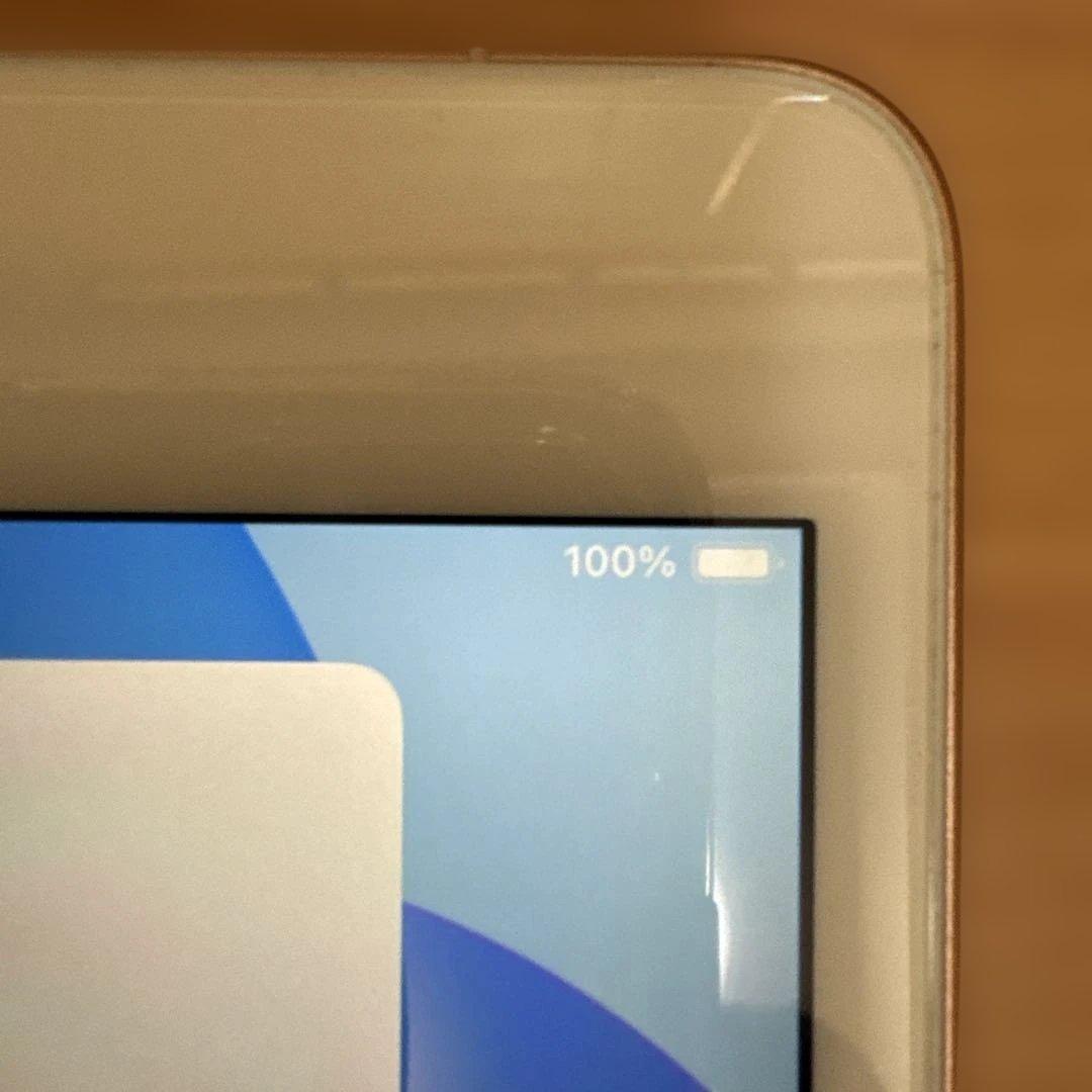 iPad Mini 100%バッテリー第5 ゴールドセルラー