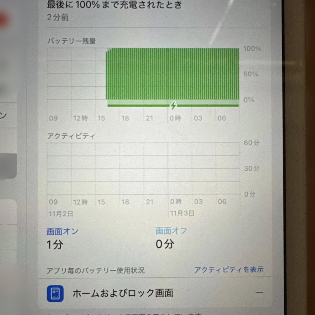 iPad Mini 100%バッテリー第5 ゴールドセルラー