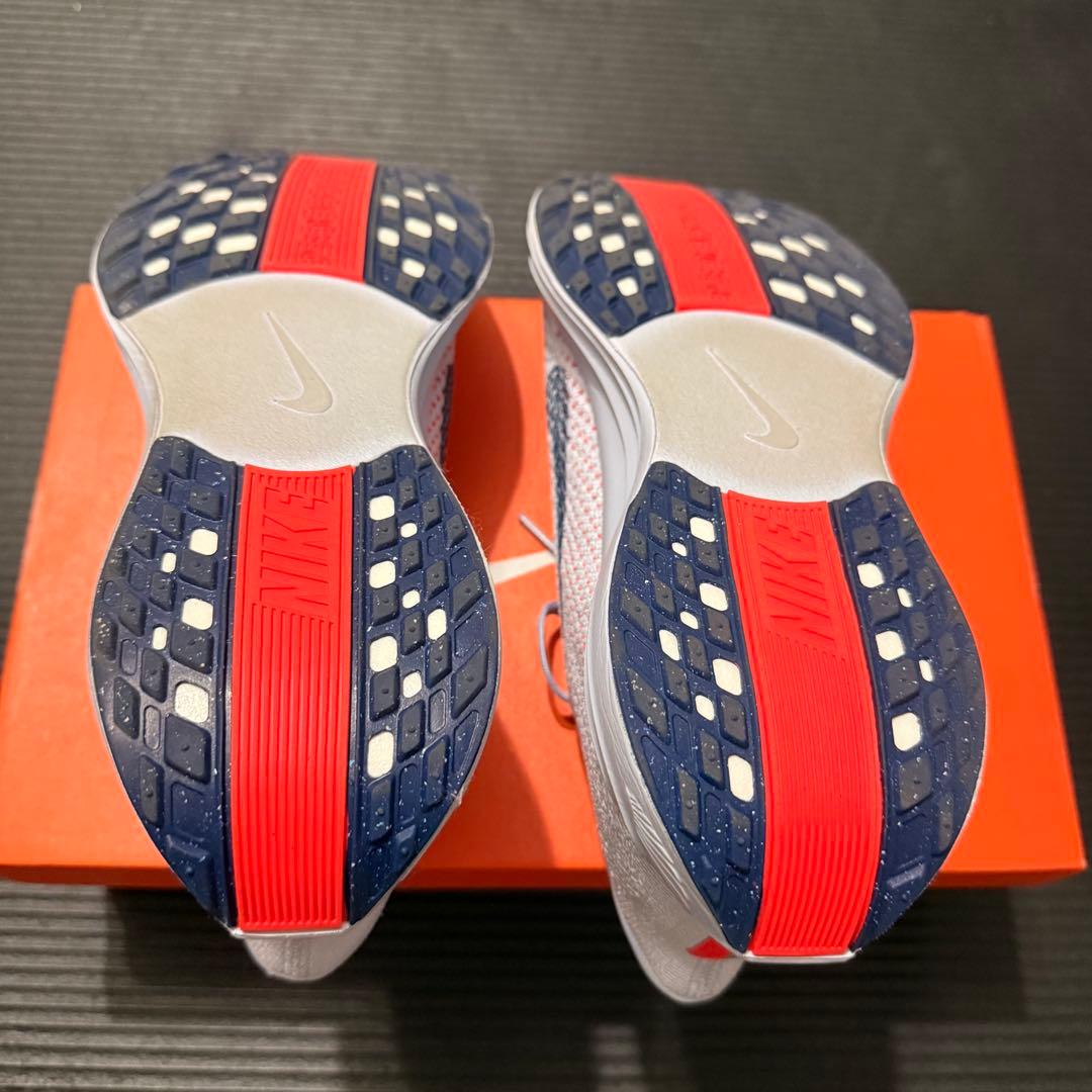 ペガサスプラス 26.0cm