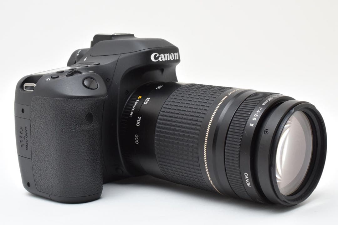 デジタル一眼レフカメラCanon EOS 80D望遠レンズセット