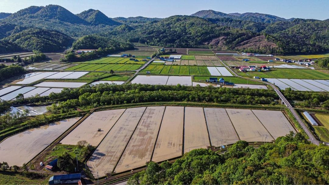 新米＊玄米＊ななつぼし＊農家直送＊北海道産＊美味しいお米