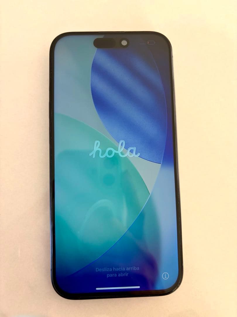 壱*織様 Apple iPhone15 pro 256GB ※訳あり