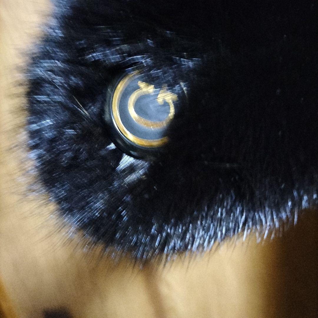 毛皮 ミンク超ロングコート　オーダーメイド　グッチ布内張り　全117cm　M~L