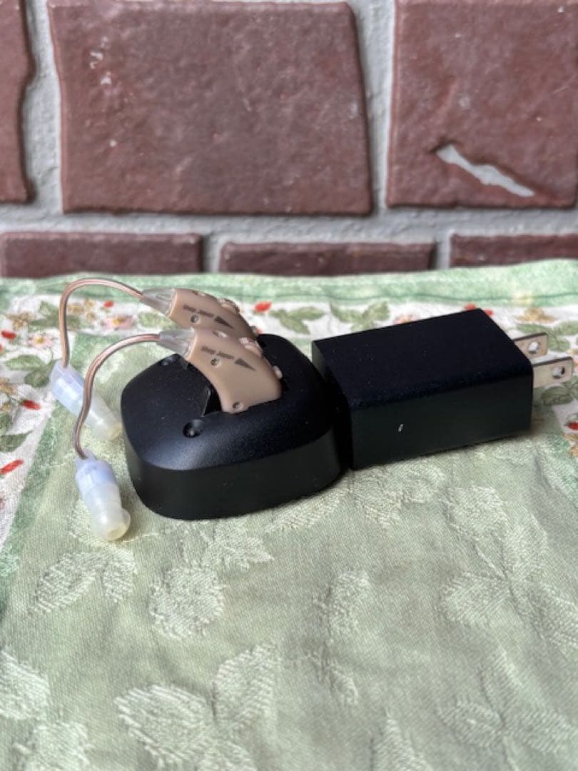 Shop Japanショップジャパン楽ちんヒアリング本体2個セット＋集音器充電式