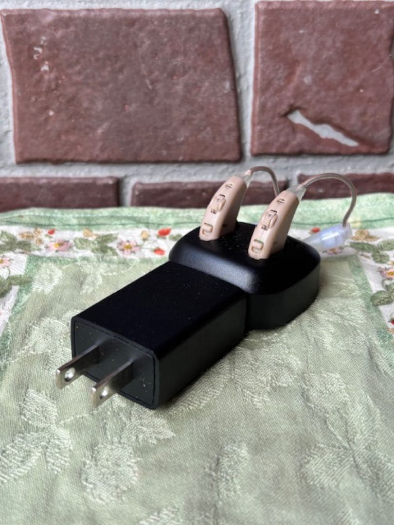 Shop Japanショップジャパン楽ちんヒアリング本体2個セット＋集音器充電式