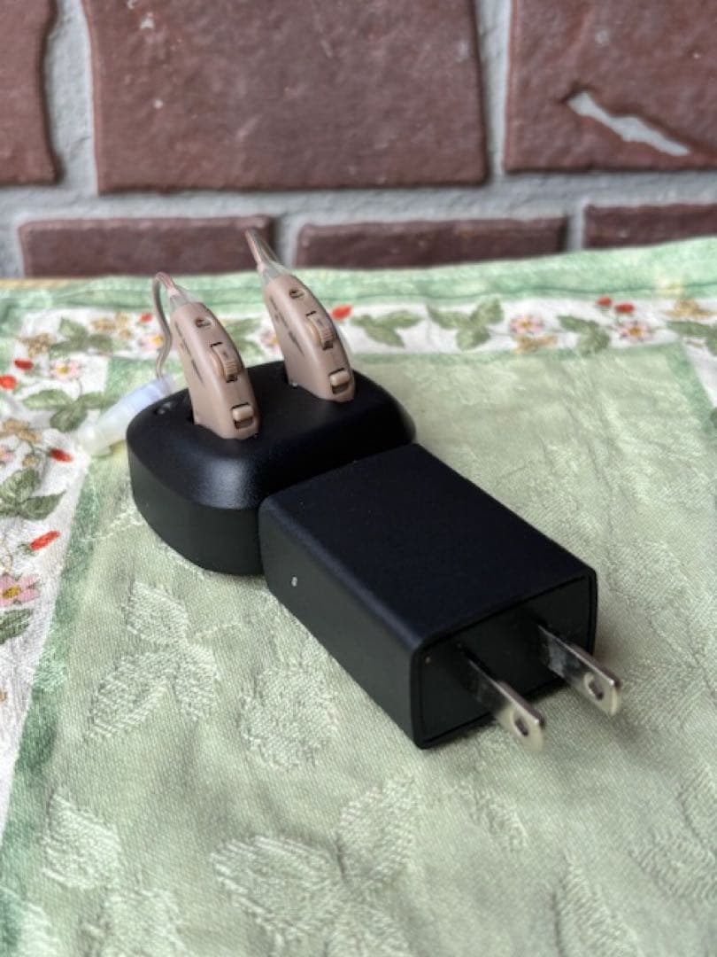 Shop Japanショップジャパン楽ちんヒアリング本体2個セット＋集音器充電式