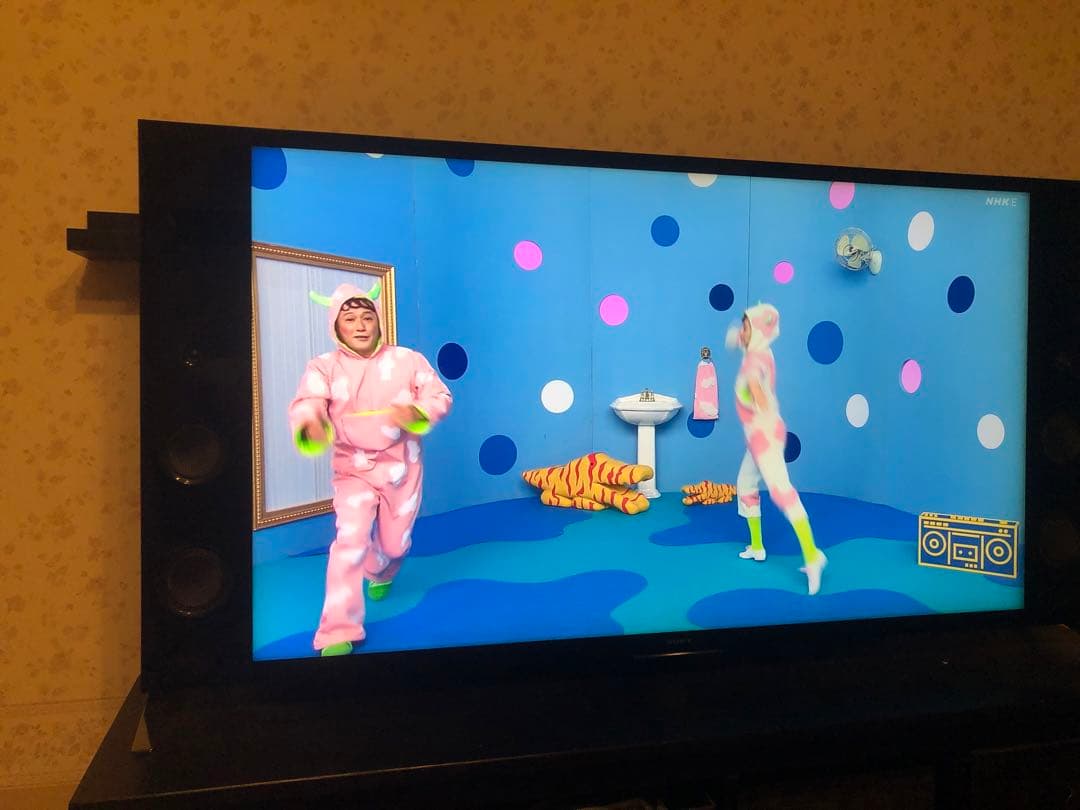 SONY BRAVIA 55型　KJ55X9300C