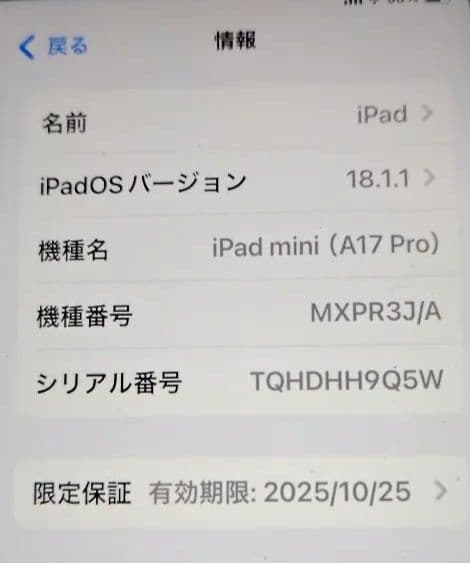 極美品 iPad mini（A17 Pro）セルラーモデル パープル 128GB