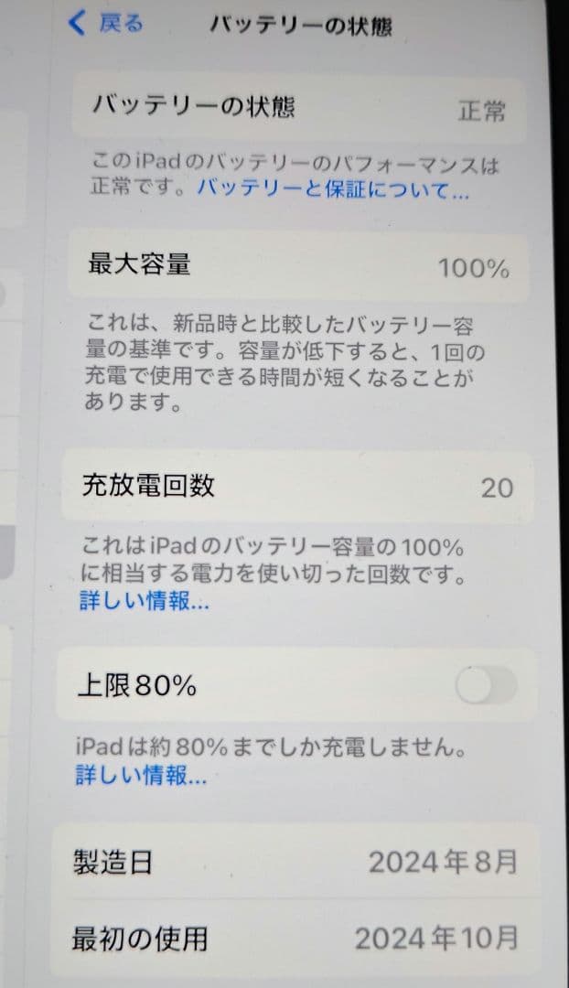 極美品 iPad mini（A17 Pro）セルラーモデル パープル 128GB