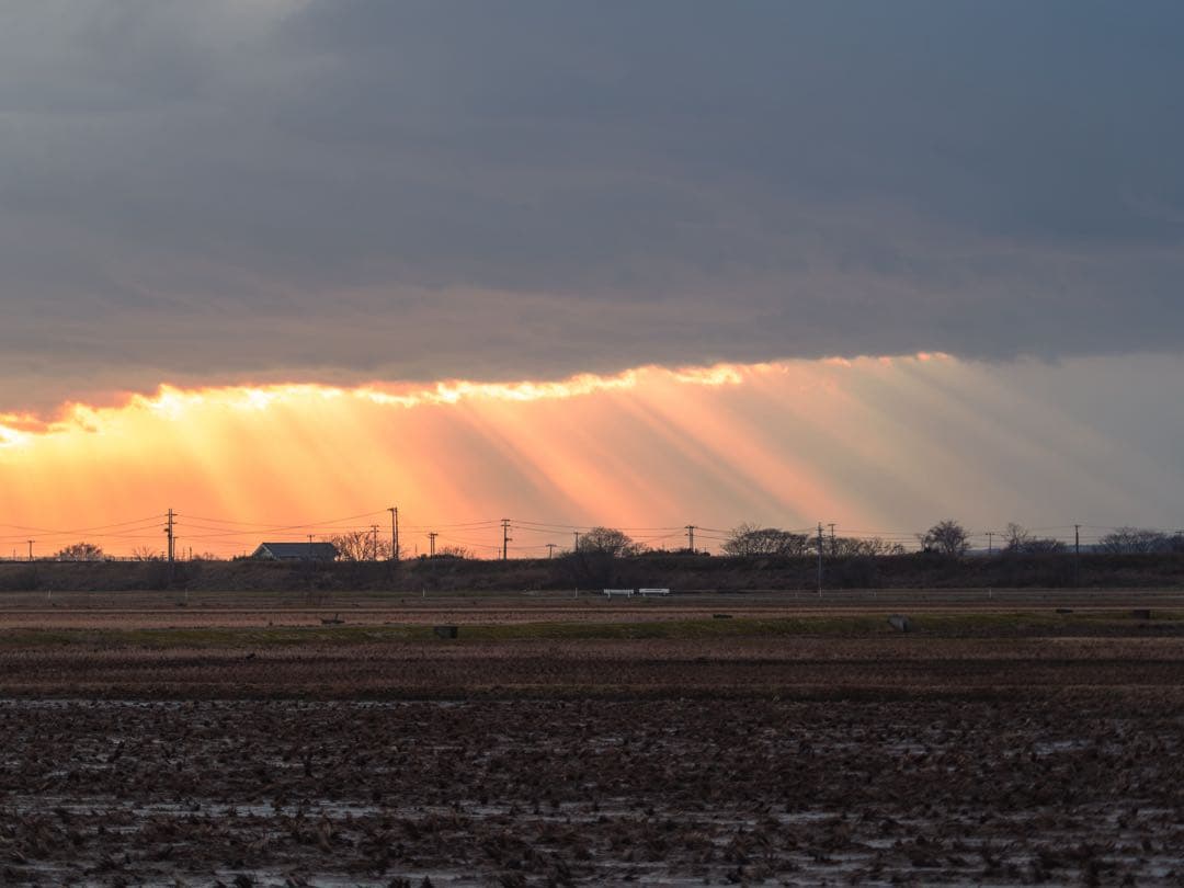 OMSYSTEM M.ZUIKO 40-150mm F2.8 PRO＋MC-20