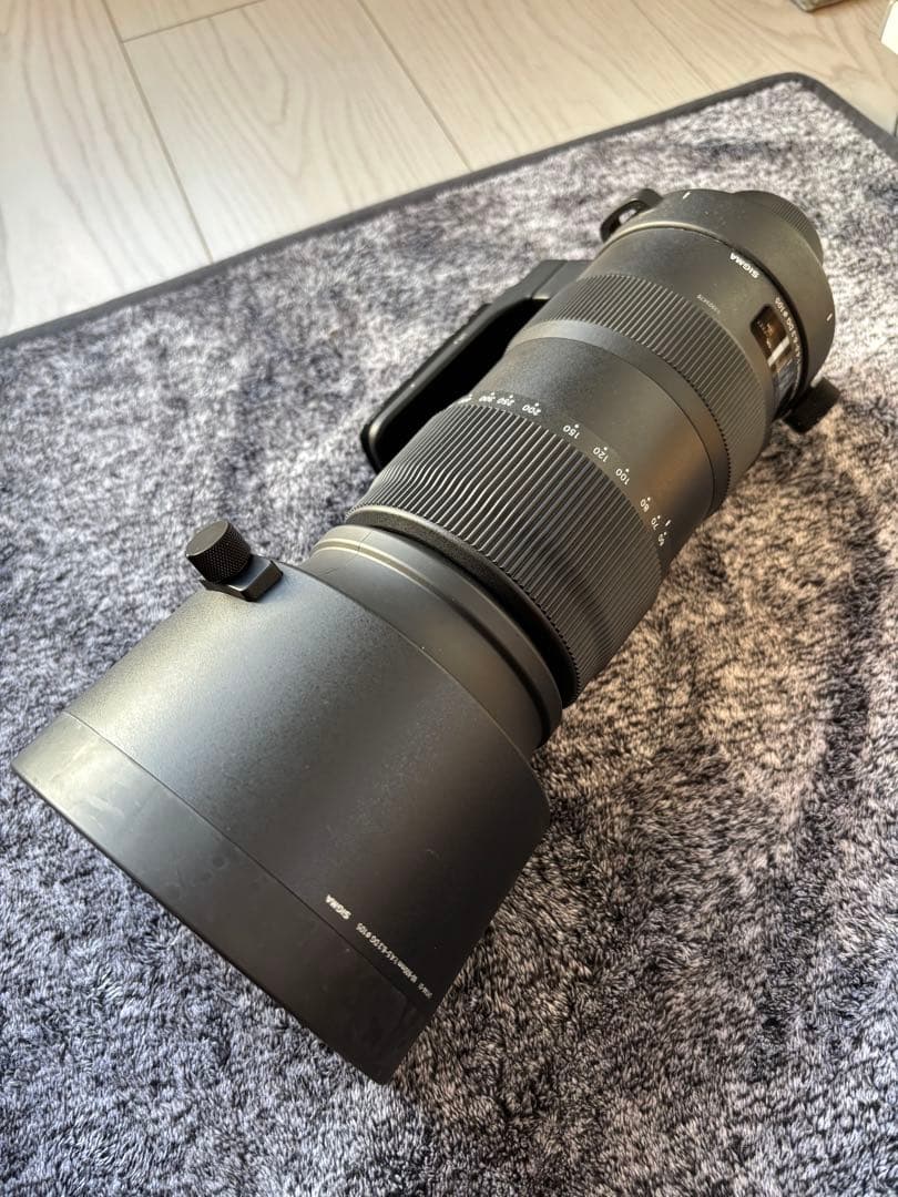 h*9様 SIGMA 60-600mm F4.5-6.3 DG OS HSM