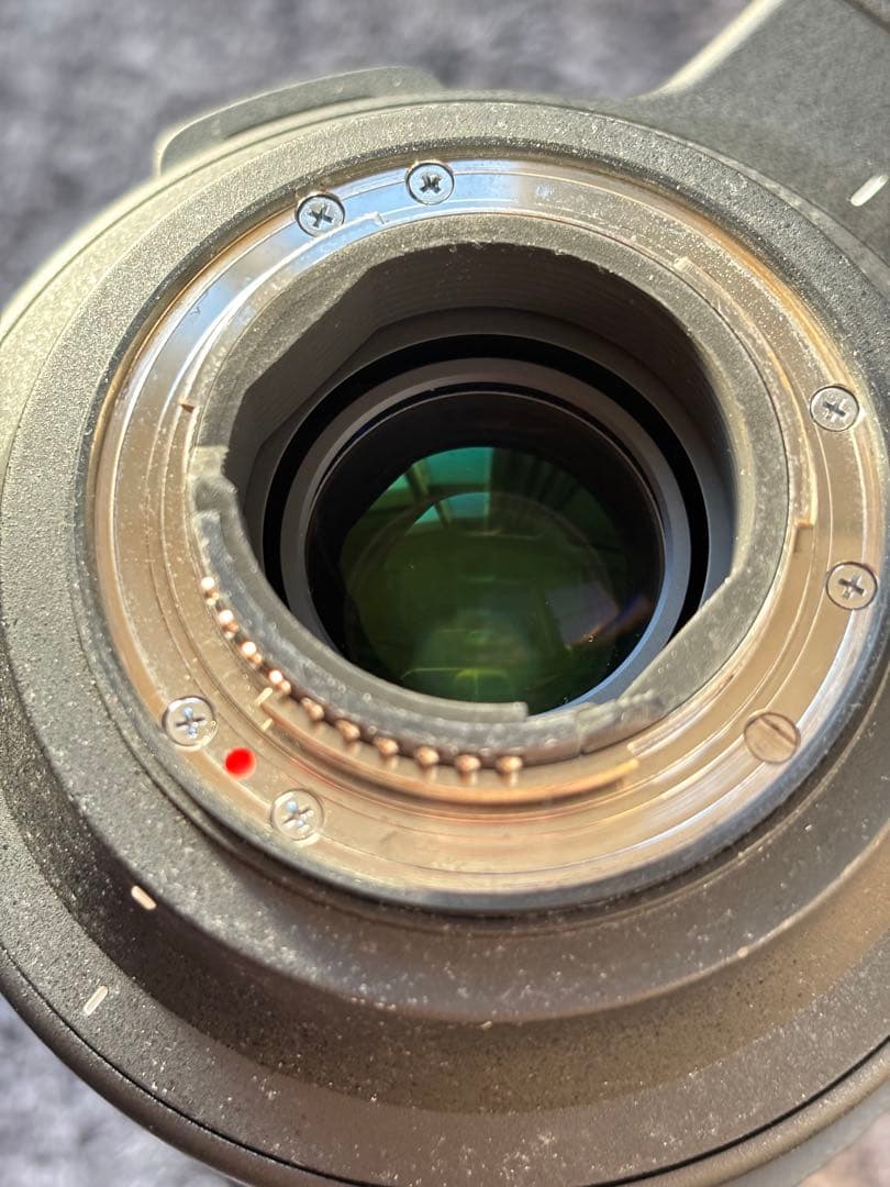 h*9様 SIGMA 60-600mm F4.5-6.3 DG OS HSM