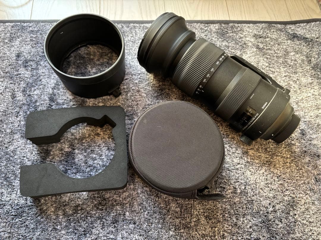 h*9様 SIGMA 60-600mm F4.5-6.3 DG OS HSM